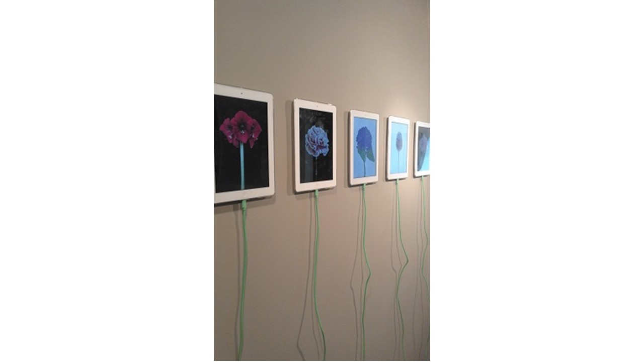 Vista de videoinstalación en Ipad 4. " Luz interior | Color of Emotions" en Galería Freijo.
