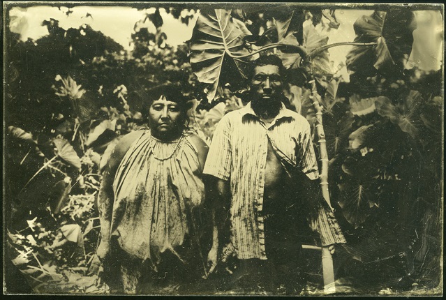 Project Wonderland, ambrotype.