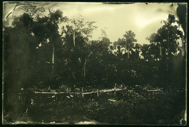 Project Wonderland, ambrotype.