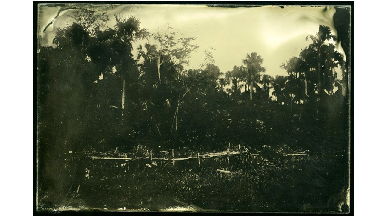 Project Wonderland, ambrotype.