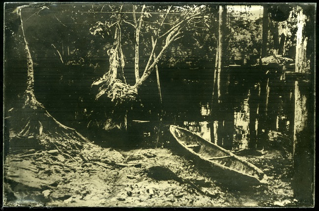 Project Wonderland, ambrotype.