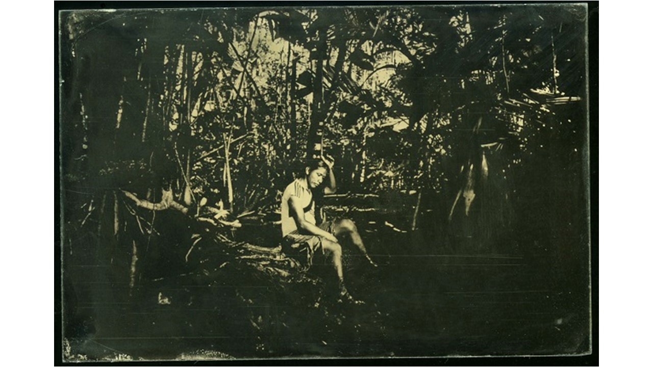 Project Wonderland, ambrotype.