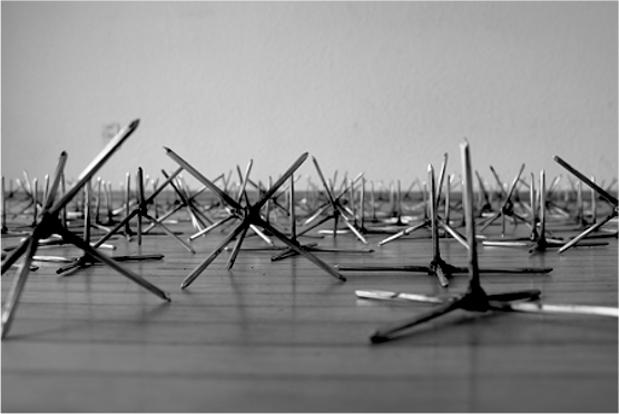 "La trampa (tentativo)", 2019. Instalación.