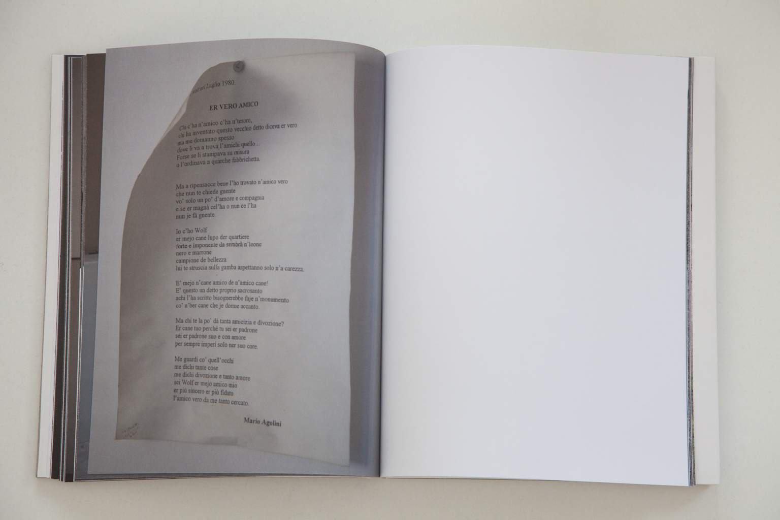 De la serie Abecedario abatido
Libro de artista y fotografías