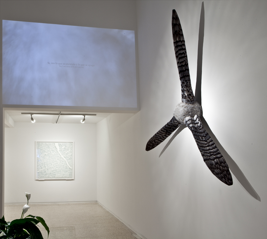 Installation view of the exhibition "The Mirror Rule", 2018.
