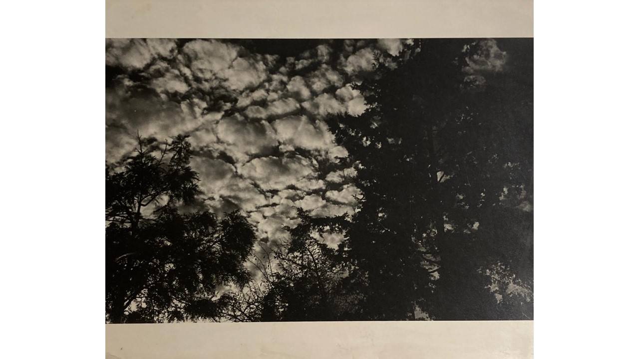 Roberto Fernández Balbuena. Fotografía Vintage. Ca.1950. 20 x 25 cm