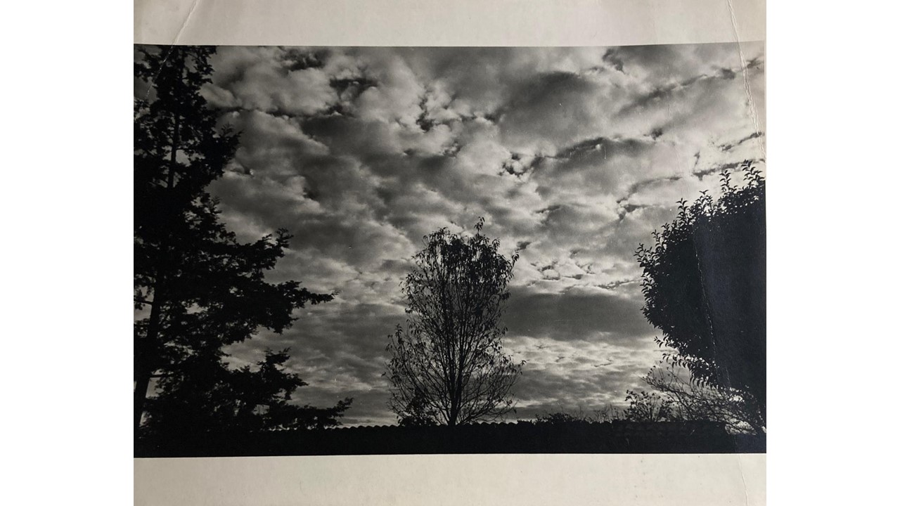Roberto Fernández Balbuena. Fotografía Vintage. Ca.1950. 20 x 25 cm