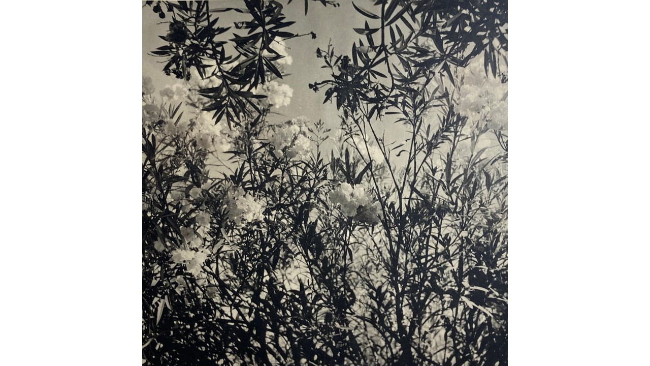 Roberto Fernández Balbuena. Fotografía Vintage. Ca.1950. 21 x 21 cm