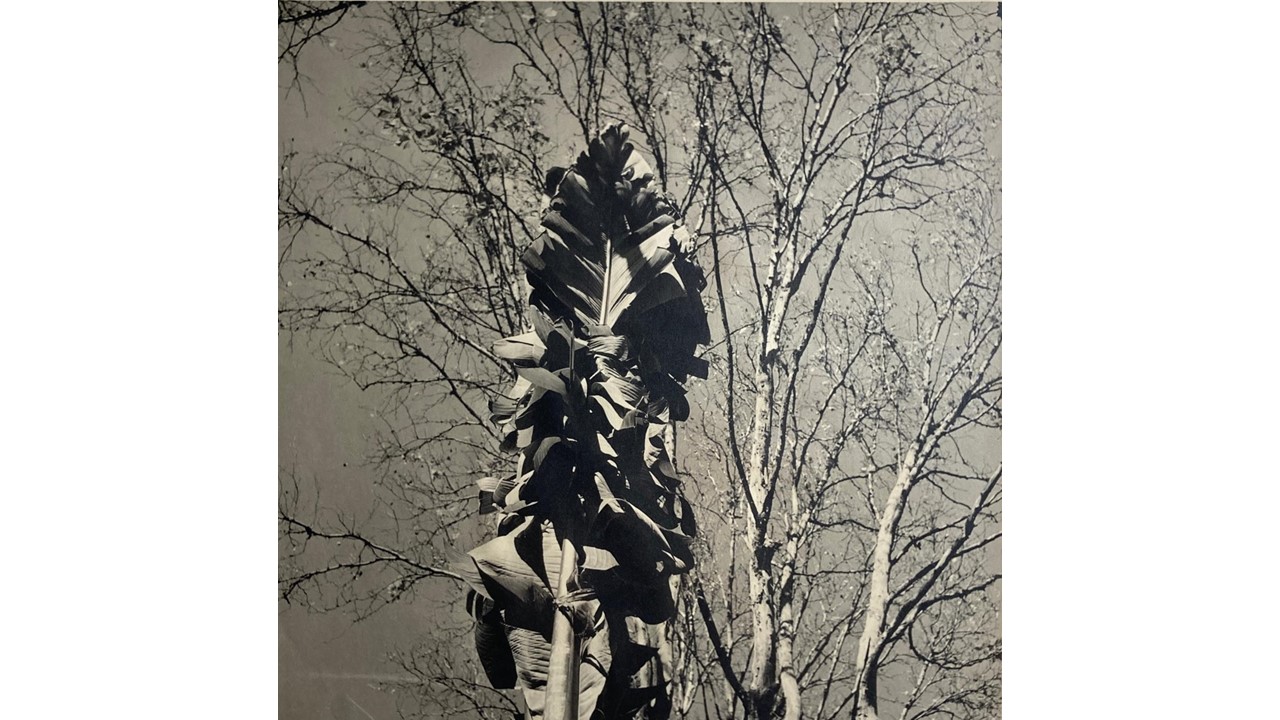 Roberto Fernández Balbuena. Fotografía Vintage. Ca.1950. 21 x 21 cm