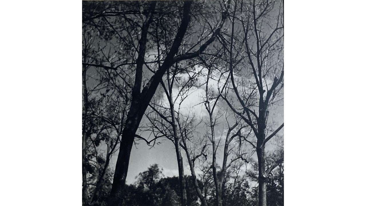Roberto Fernández Balbuena. Fotografía Vintage. Ca.1950. Acercamiento.