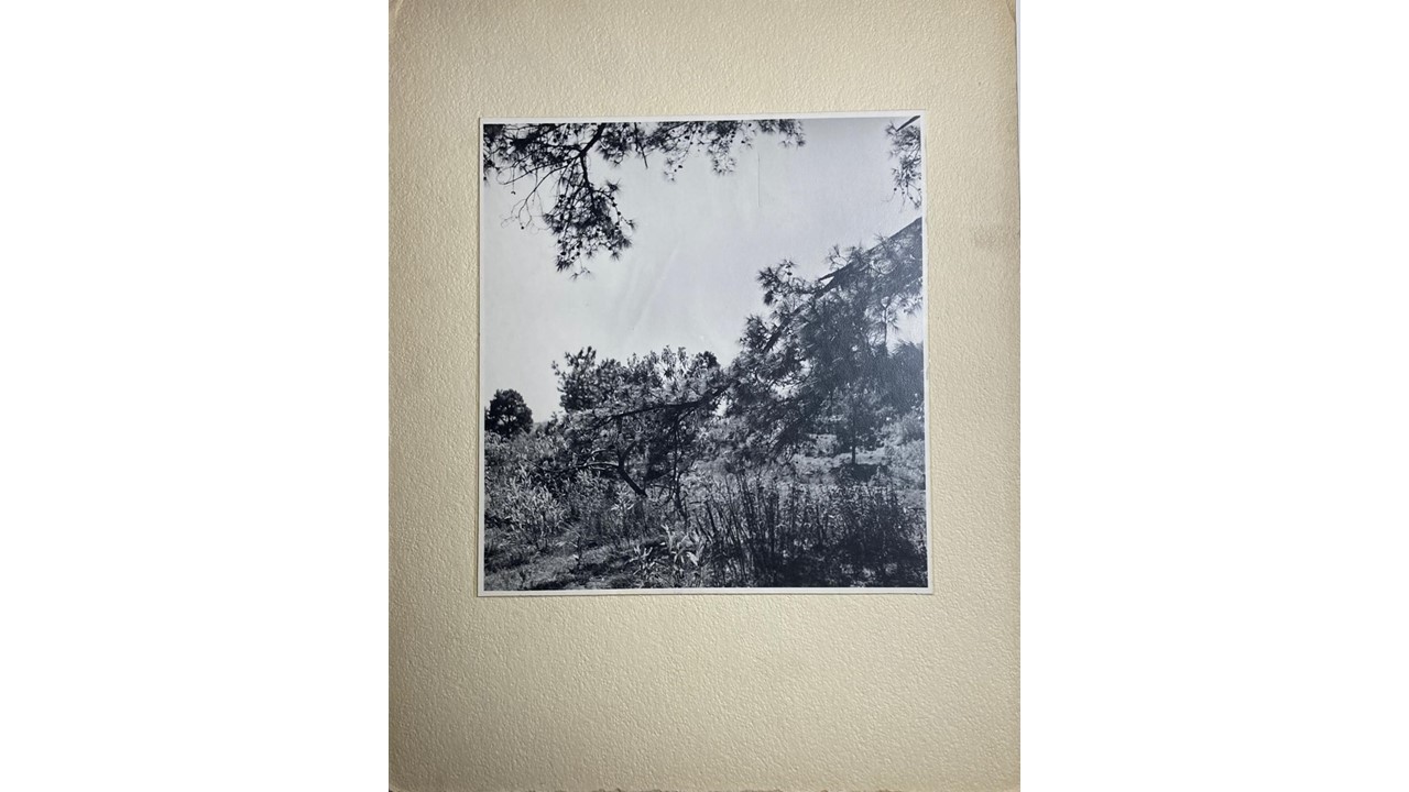 Roberto Fernández Balbuena. Fotografía Vintage. Ca.1950. 35,5 x 28 cm