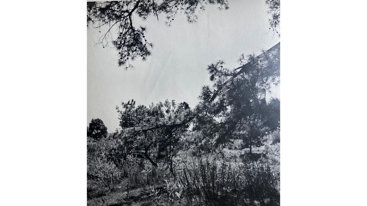 Roberto Fernández Balbuena. Fotografía Vintage. Ca.1950. Acercamiento.