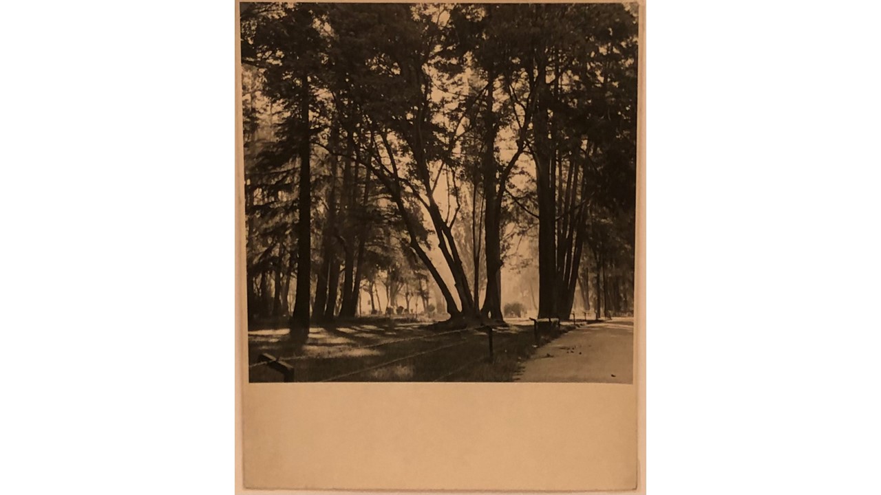 Roberto Fernández Balbuena. Fotografía Vintage. Ca.1950. 24 x 20 cm