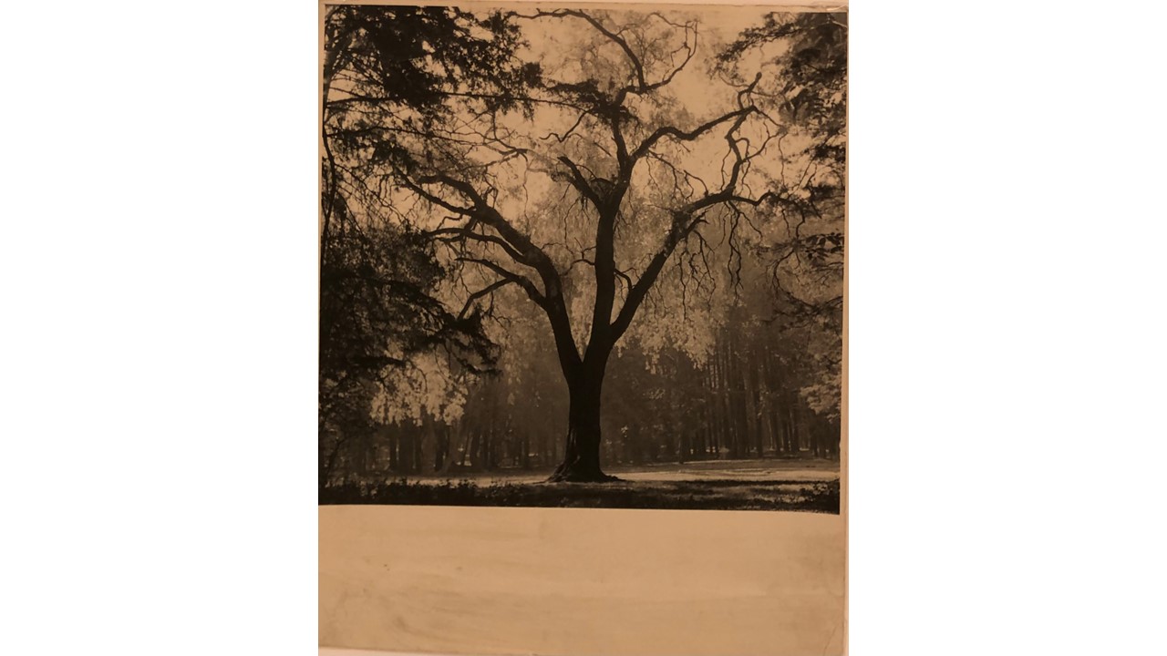 Roberto Fernández Balbuena. Fotografía Vintage. Ca.1950. 24 x 20 cm