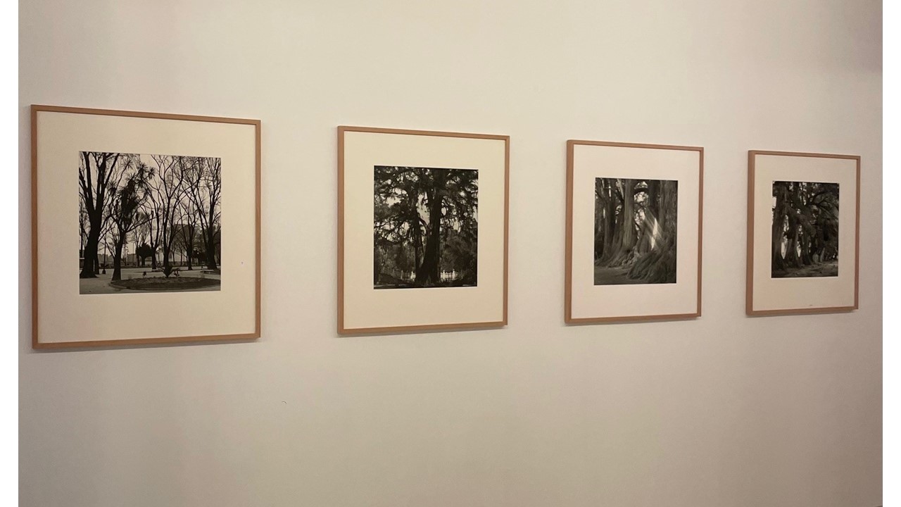 Vista de la exposición."México. Arquitectura y paisaje". OFF PhotoEspaña 24.