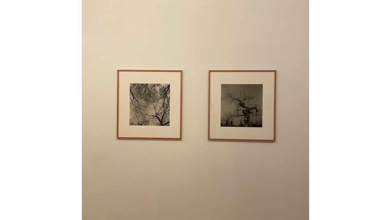 Vista de la exposición."México. Arquitectura y paisaje". OFF PhotoEspaña 24.