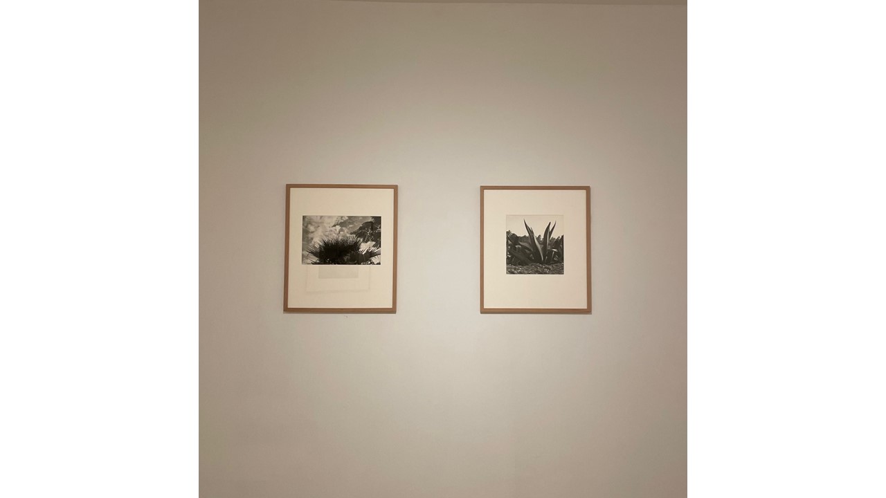 Vista de la exposición."México. Arquitectura y paisaje". OFF PhotoEspaña 24.