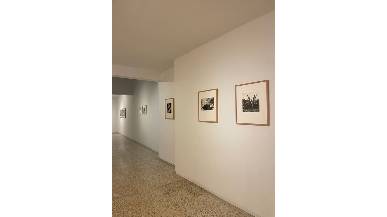 Vista de la exposición."México. Arquitectura y paisaje". OFF PhotoEspaña 24.
