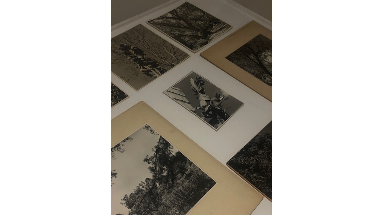 Vista de instalación. Fotografías vintage Fernández Balbuena. OFF PhotoEspaña 24.