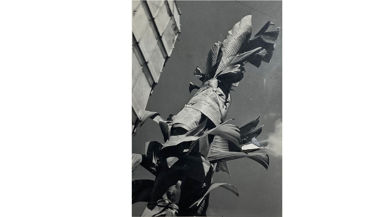 Roberto Fernández Balbuena. Fotografía Vintage. Ca.1950. 17 x 12 cm