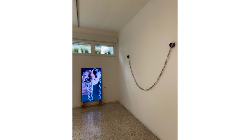 Olalla G. Valdericeda. "Smile", 2024-25.