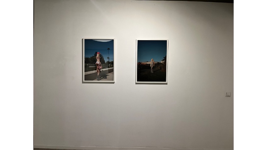 Installation view