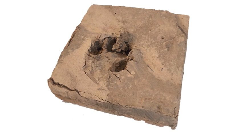Petjades, Paiporta (2.6), 19,3 x 19,5 x 6,5cm