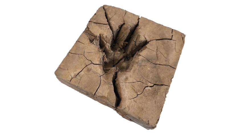 Petjades, Paiporta (2.3), 19,8 x 19,5 x 6cm