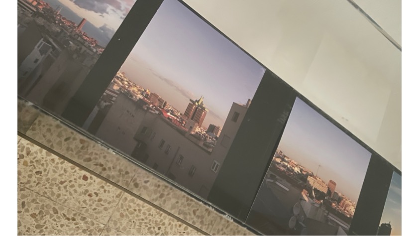 Installation view.