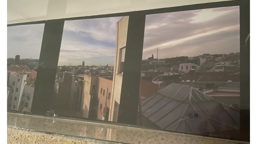 Installation view.