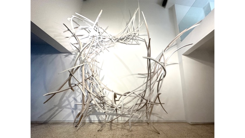 Disimetria Fúrica, 2026, 440 x 430 x 190 cm.