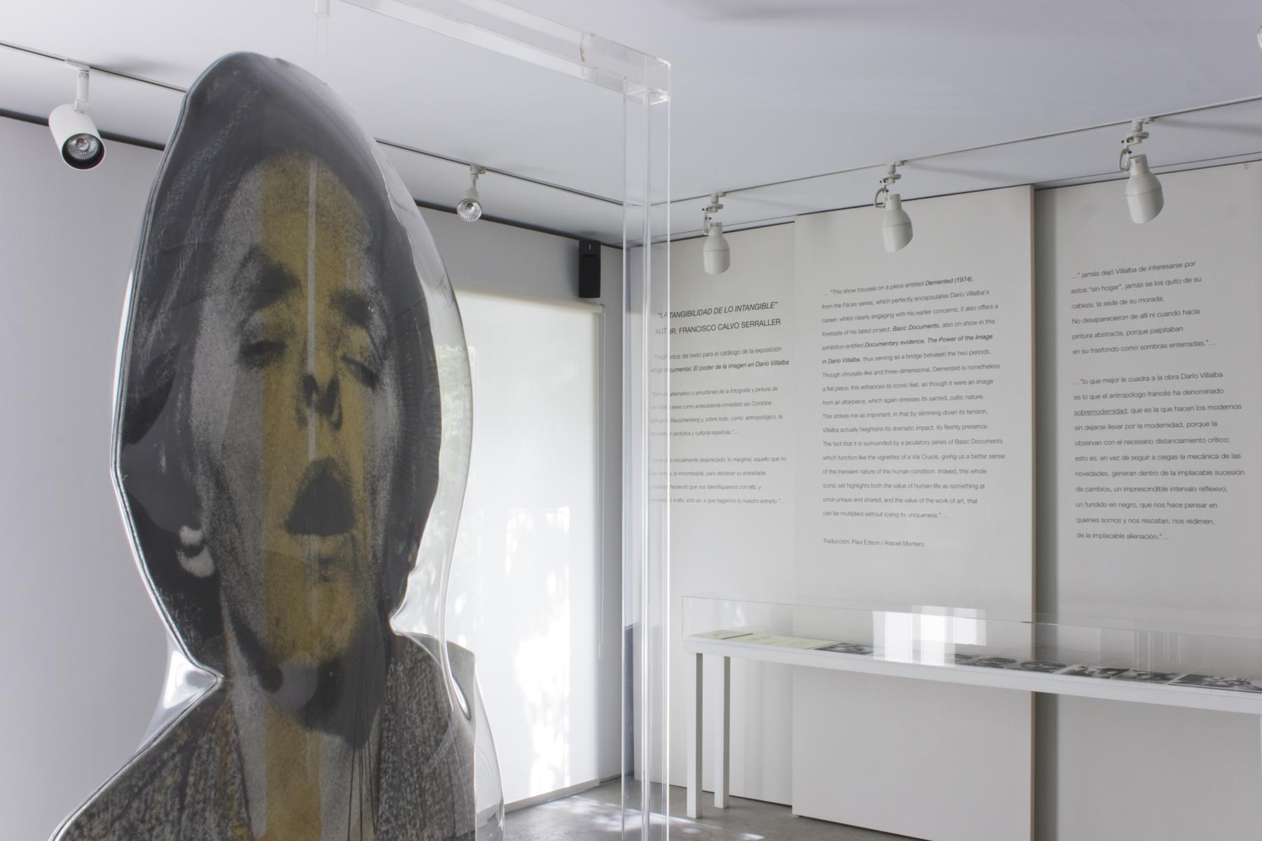 Installation view.