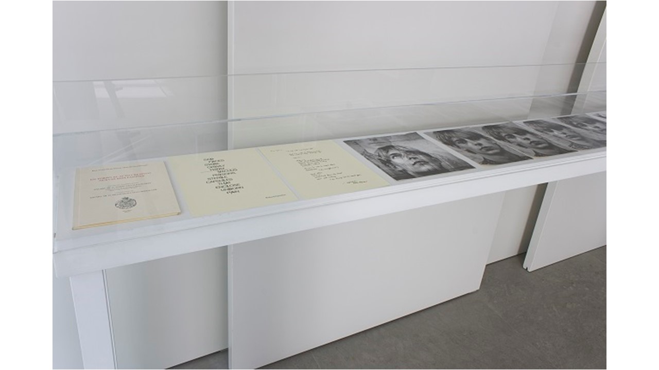 Installation view.