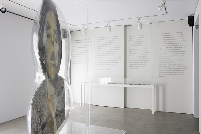 Installation view.