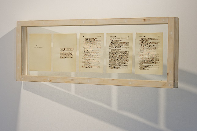 "Act without words II", 2014. Seeds, paper, wood and glass. 30 x 86 x 10 cm.