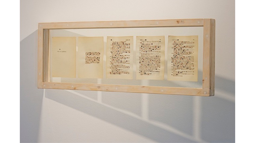 "Act without words II", 2014. Seeds, paper, wood and glass. 30 x 86 x 10 cm. The text that forms the visual basis of this work is the play Act without words by S. Beckett.