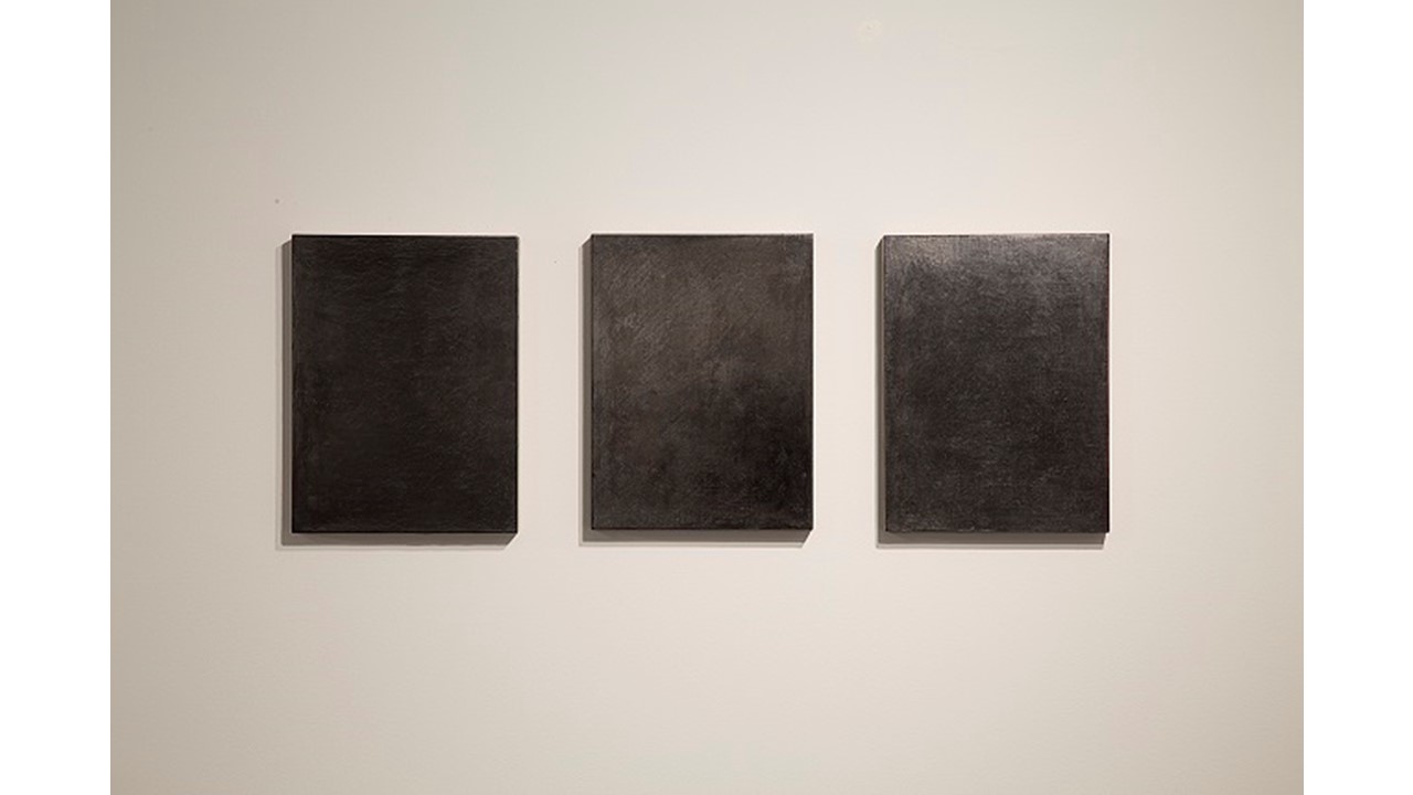 Untitled. 2014. Graphite, coal, gypsum, linen and cedar panel.