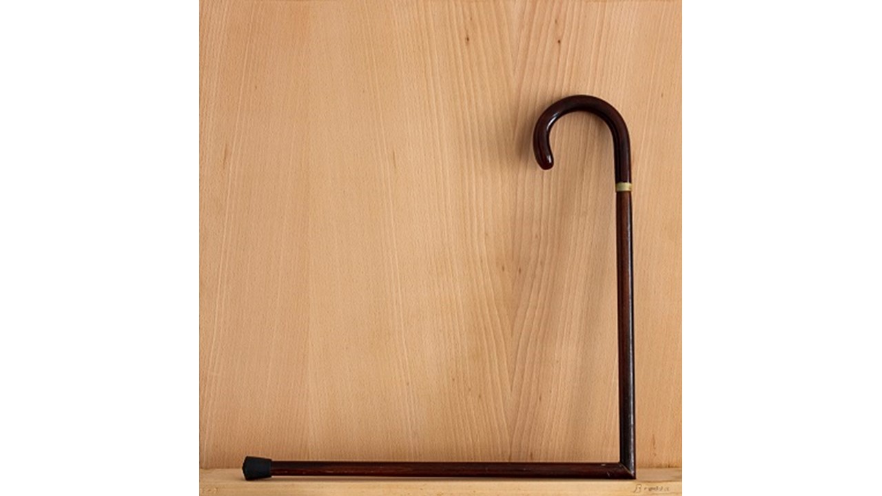 Joan Brossa, "Object Poem Cane", 1988. Edition 2/3 . 47 x 47 x 3 cm.