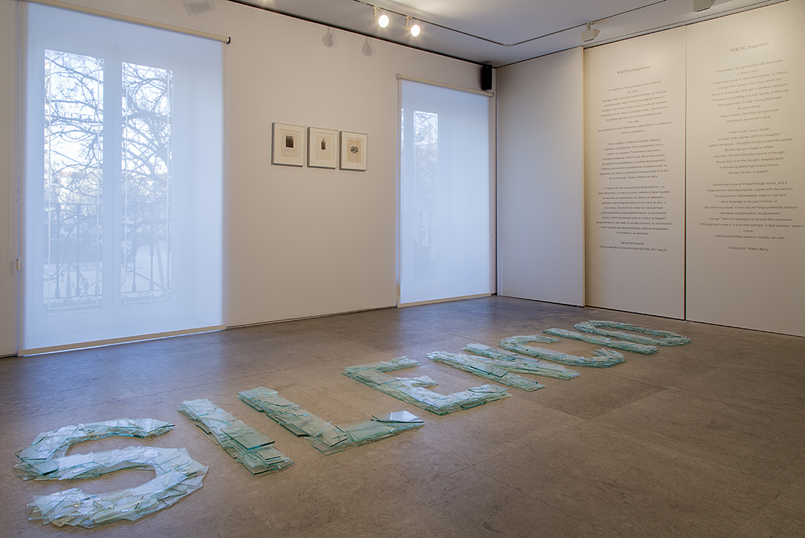 "Silencio", 2016. Site specific. Poema-objeto. Vidrios rotos. Pieza única. 100 x 480 cm.
