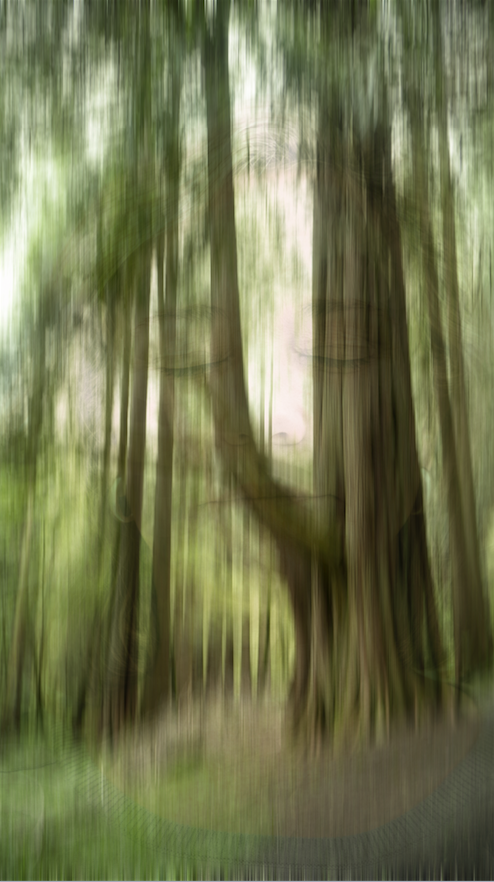 VISIONES I. Escocia 2015. RC sobre papel metálico. 180 x 101 cm. Ed. 1/3.