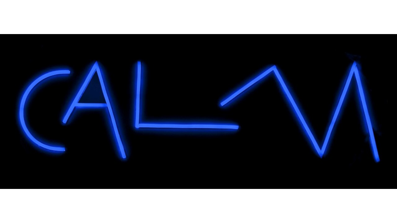 CALM. 2016. Mini Led Neon Flex sobre plancha de acero. 32 x 93 x 3 cm. Ed. 1/5. Galería Freijo, 2016.