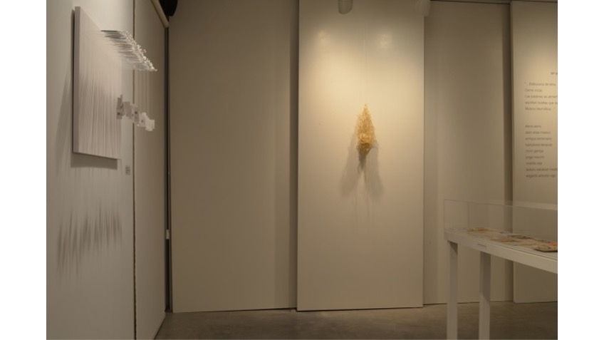 Installation view. Work on view by Rocío Garriga.