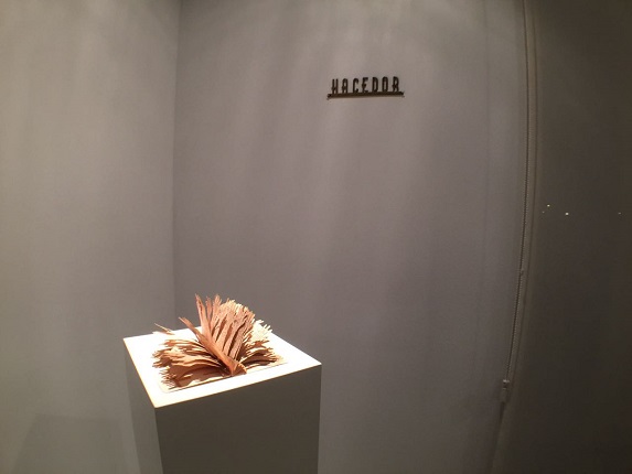 Installation view.