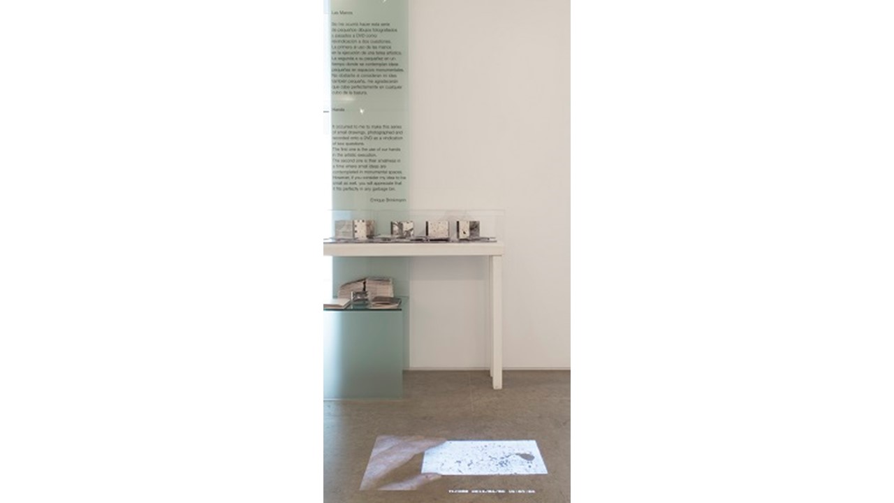 Vista de la exposición "Neuroconexiones plásticas" en Galería Freijo, 2017.