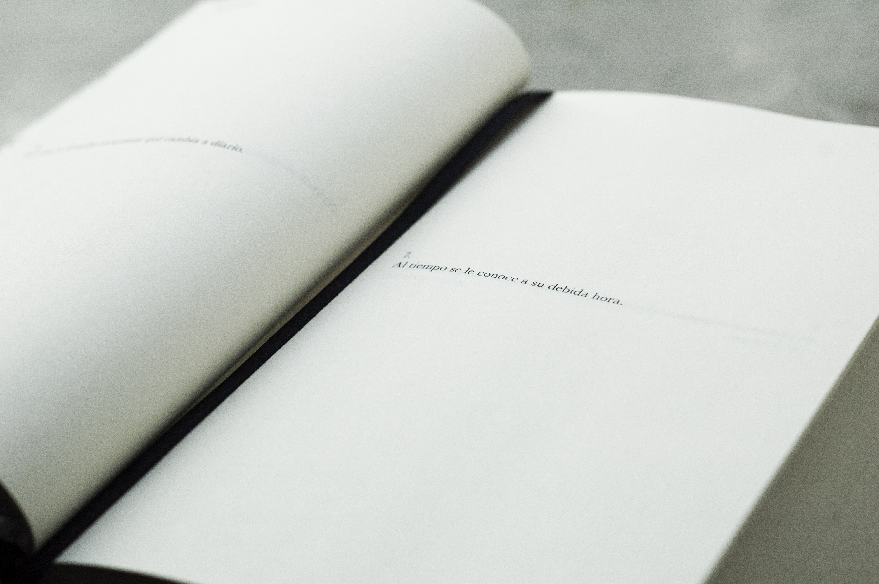 Mamotreto, 2017. Artist book. Unique piece. 21,8 x 14,5 x 7 cm. 1317 pages + 8 index.