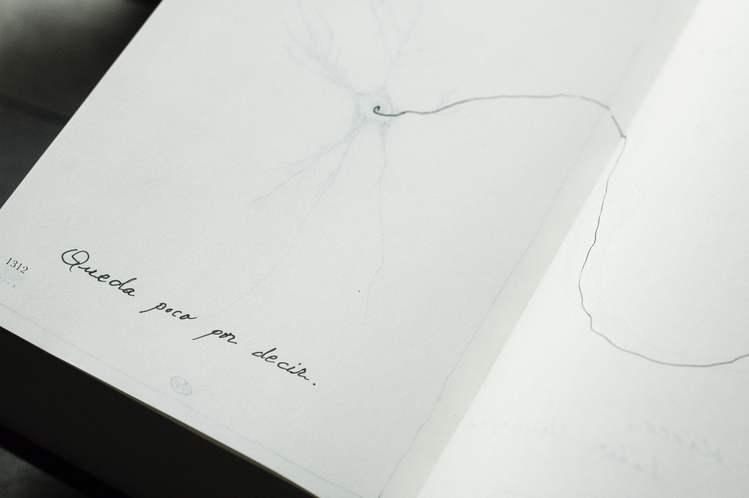 Mamotreto, 2017. Artist book. Unique piece. 21,8 x 14,5 x 7 cm. 1317 pages + 8 index.