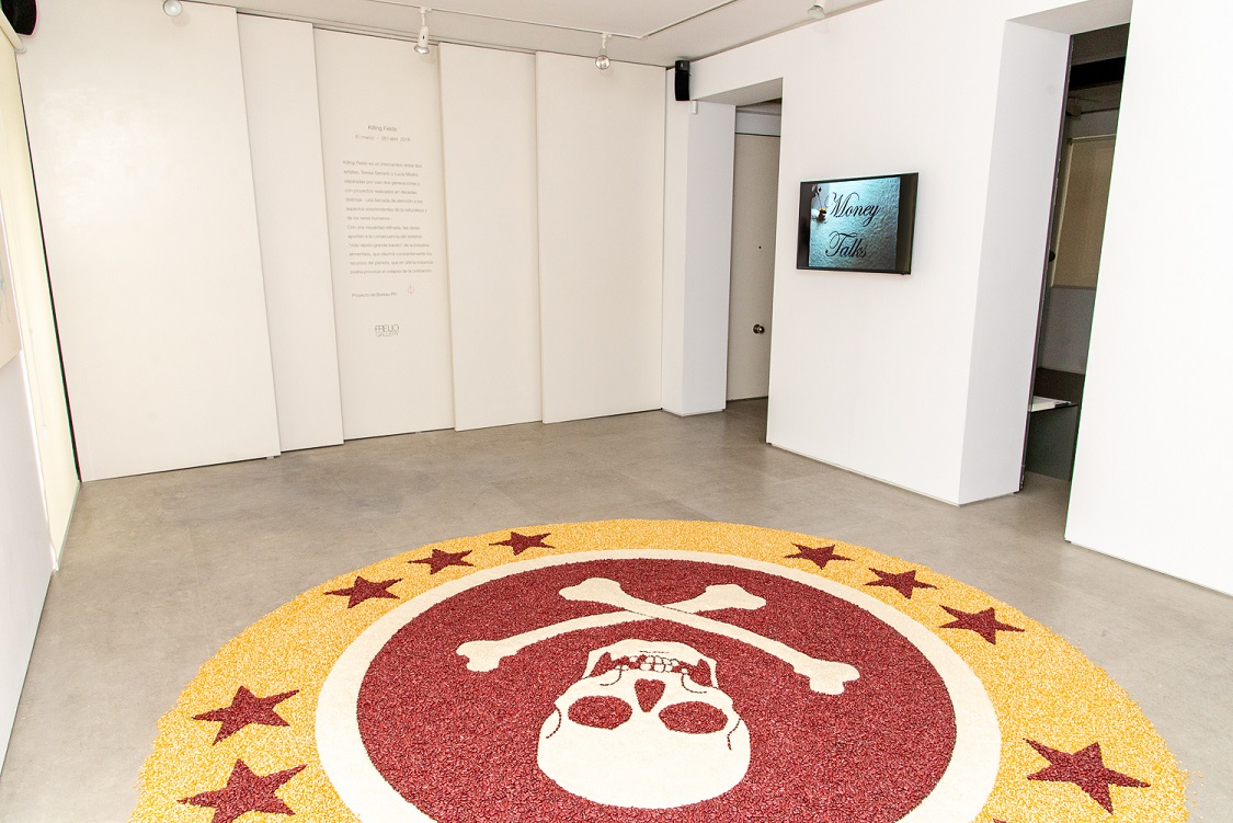 Installation view