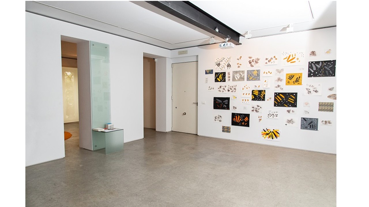 Installation view