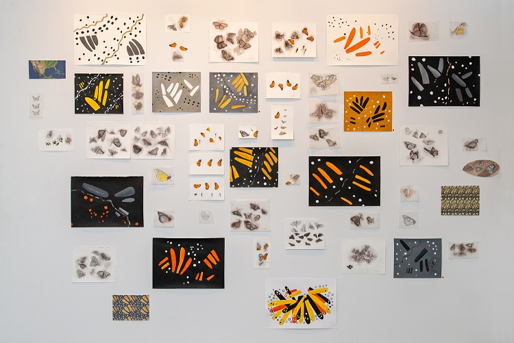 T. Serrano. Installation. 2018. Drawings (1997) and paintings (2018) based on monarch Butterfly.