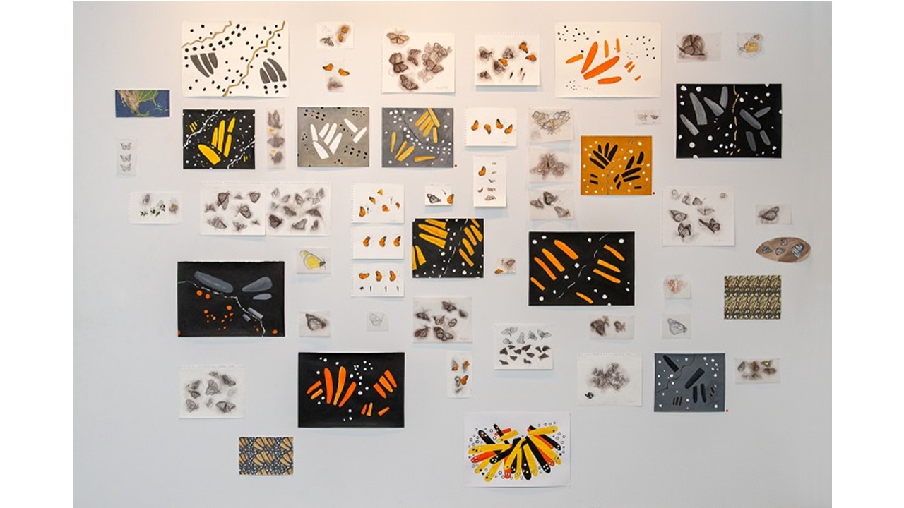 T. Serrano. Dibujos inspirados en la mariposa monarca.